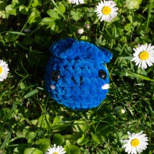 Bobby die Blaubeere