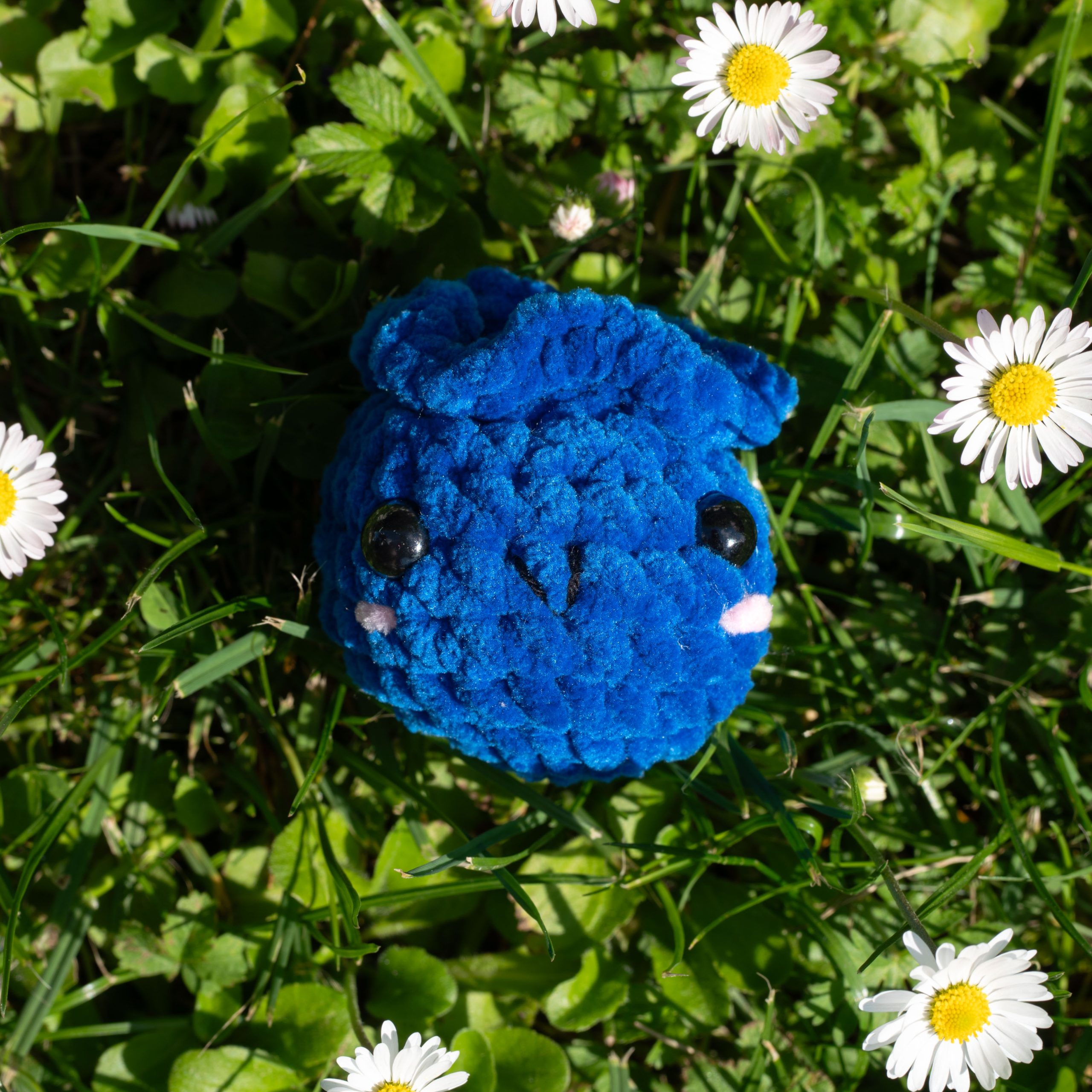 Bobby die Blaubeere