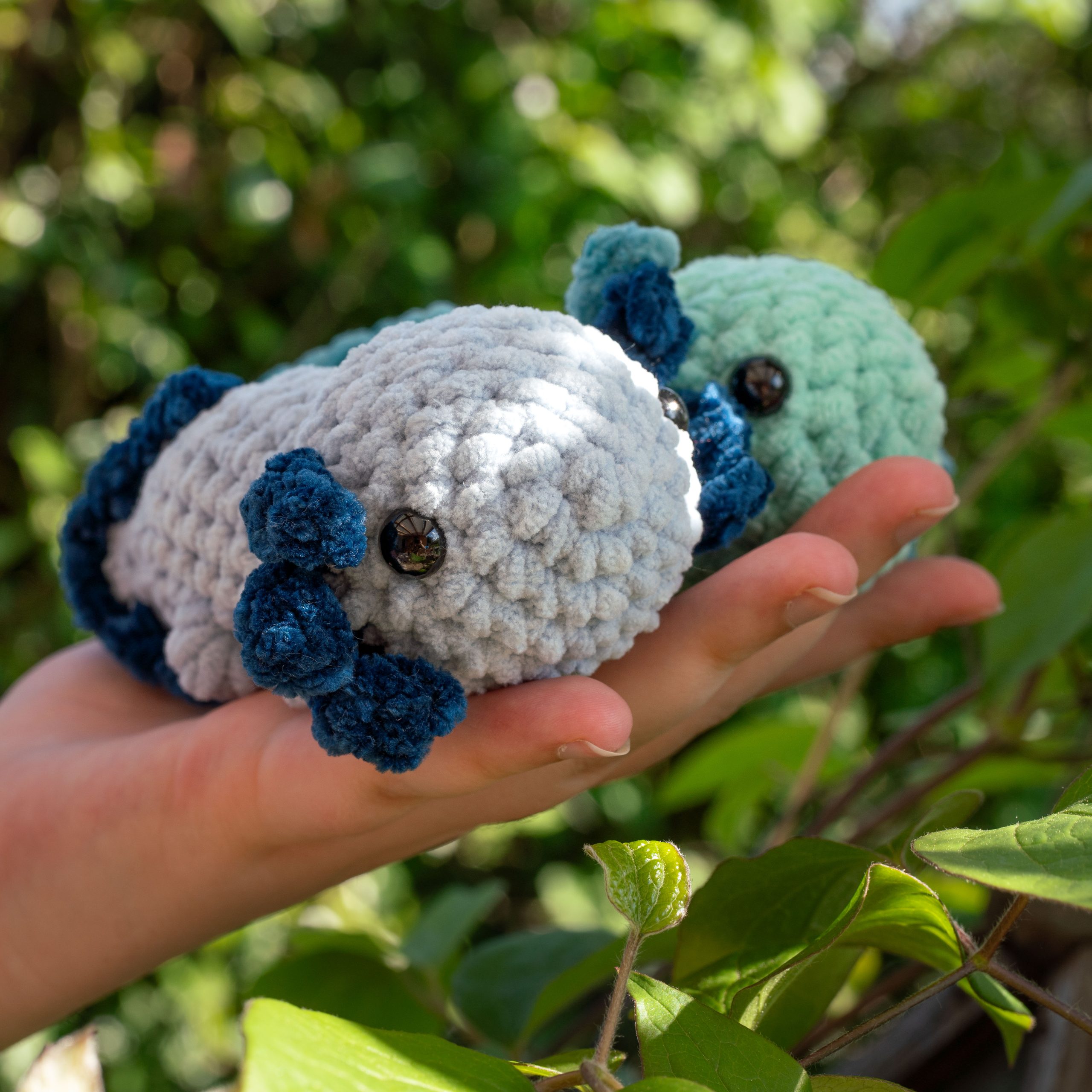 Alex das Axolotl – Bild 2
